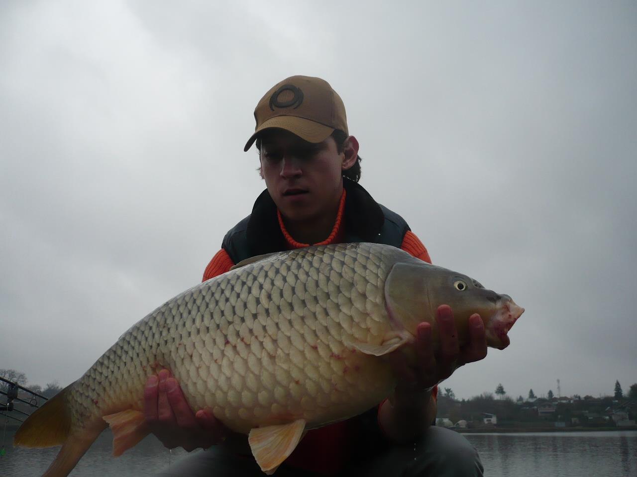 MV 2 - 12.NOI.2014 - p1020938.JPG